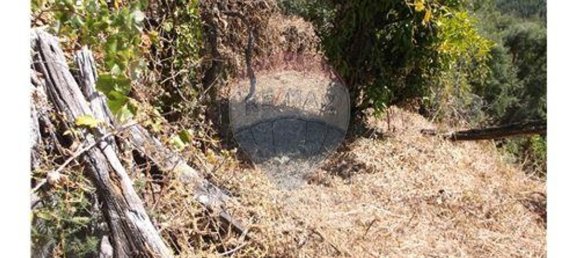 3 bedrooms House in Alvaiazere, Portugal No. 188553 17