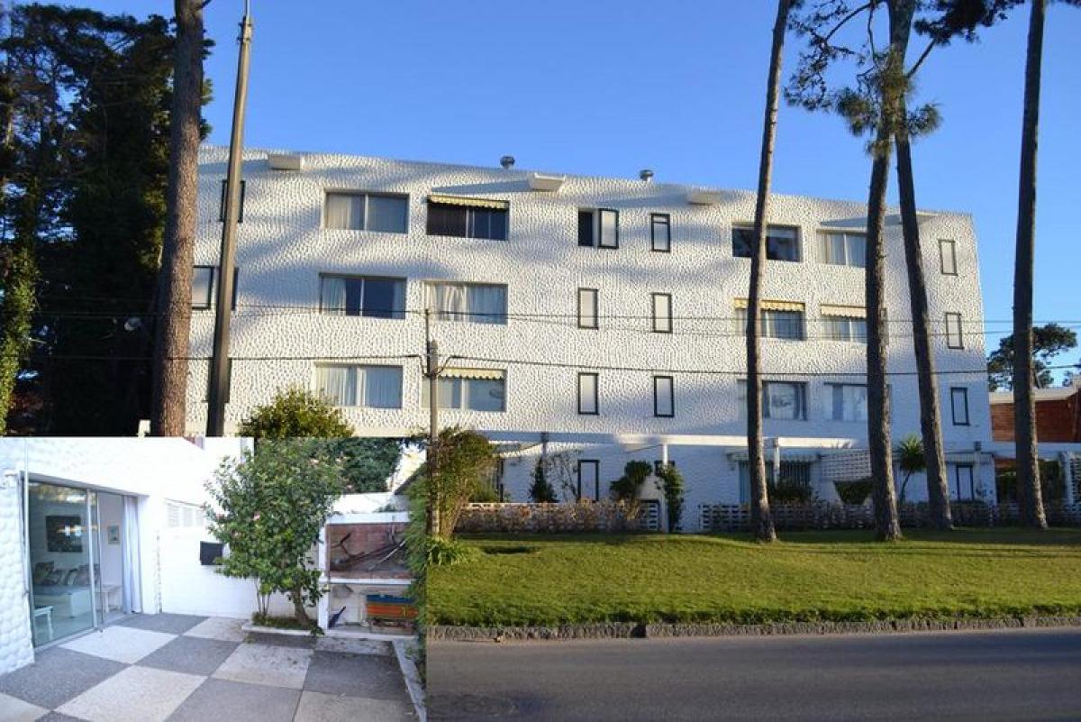 Студия в Мальдонадо, Уругвай № 7979