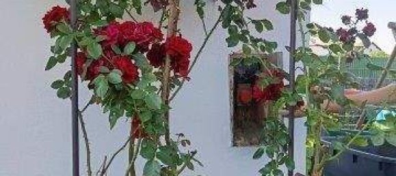 Дом с 4 комнатами в Штайнберг-Дёрфль, Австрия № 226094 2