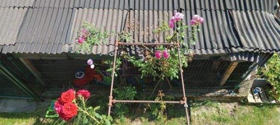 Дом с 4 комнатами в Штайнберг-Дёрфль, Австрия № 226094 27