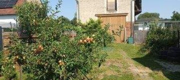 Дом с 4 комнатами в Штайнберг-Дёрфль, Австрия № 226094 22