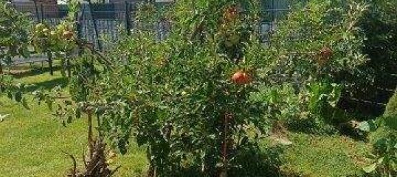 Дом с 4 комнатами в Штайнберг-Дёрфль, Австрия № 226094 24