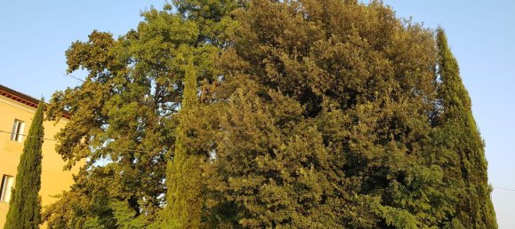 1230m² Building in Bagnacavallo, Italy No. 152182 16