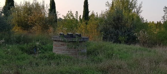 1230m² Building in Bagnacavallo, Italy No. 152182 13