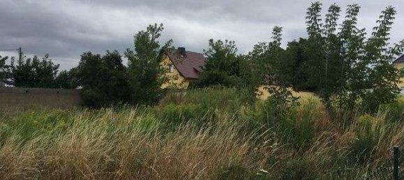 Terreno en Saalekreis, Germany No. 267476 3