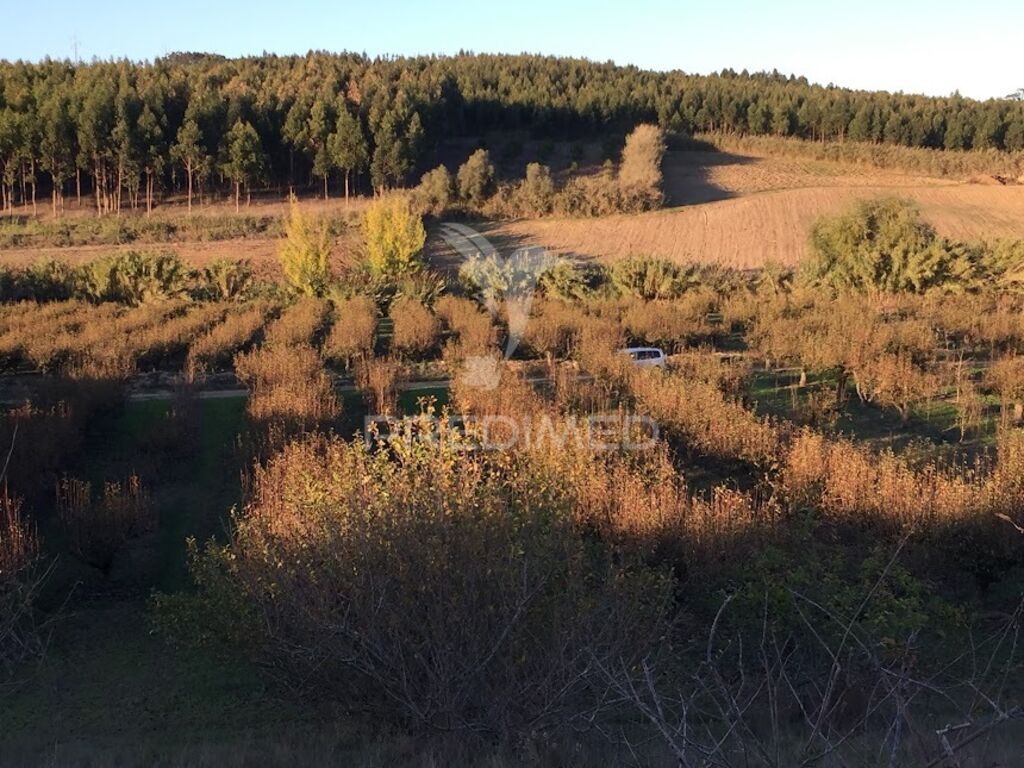 Terreno en Lourinha, Portugal 6900 m² No. 215471