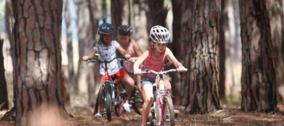 3 bedrooms House in Somerset West, South Africa No. 17 5