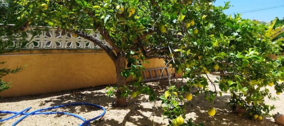 Вилла с 6 спальнями в Кальпе, Испания № 288012 11