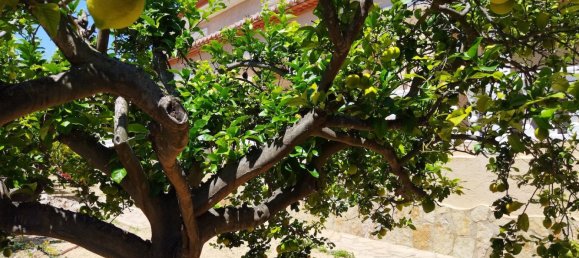 Вилла с 6 спальнями в Кальпе, Испания № 288012 9