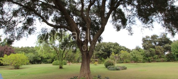 5 Schlafzimmer Villa in San Roque, Spain, Nr. 29189 24