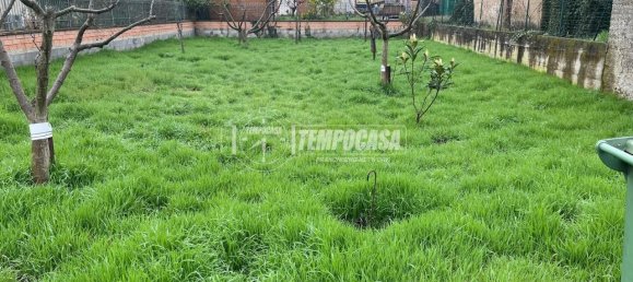 4-Zimmer Wohnung in Giussago, Italy, Nr. 21838 3