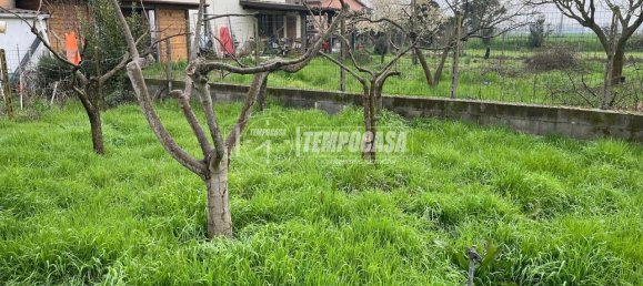 4-Zimmer Wohnung in Giussago, Italy, Nr. 21838 2