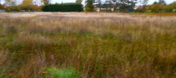 1405m² Land in Reuilly, France No. 87211 2