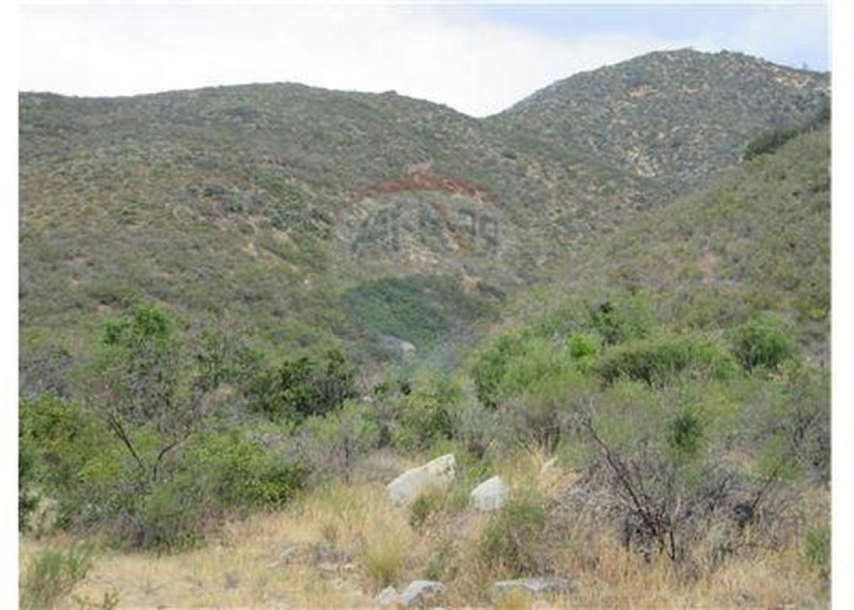 120m² Land in Chacabuco, Chile No. 1175