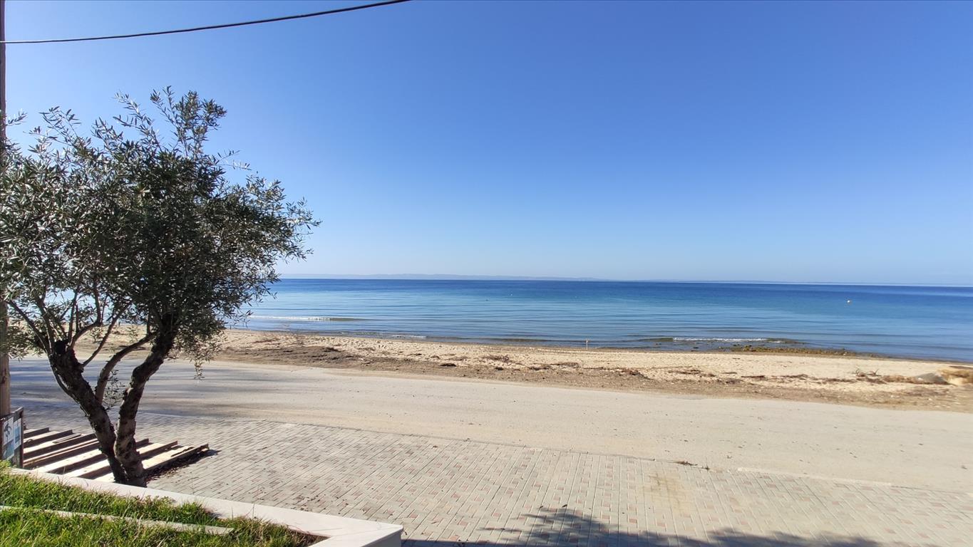 Property à Chalkidiki, Greece 70m² No. 4232