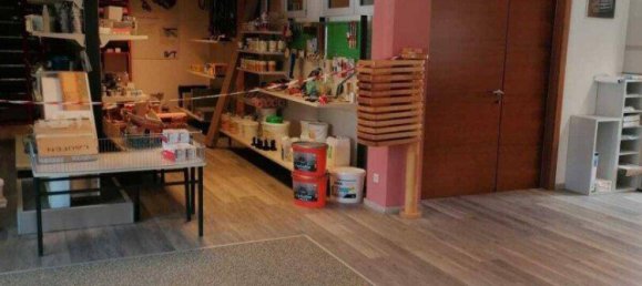 1900m² Commercial property in Litschau, Austria No. 140284 21