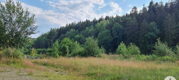 1900m² Commercial property in Litschau, Austria No. 140284 11