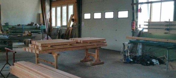 1900m² Commercial property in Litschau, Austria No. 140284 33