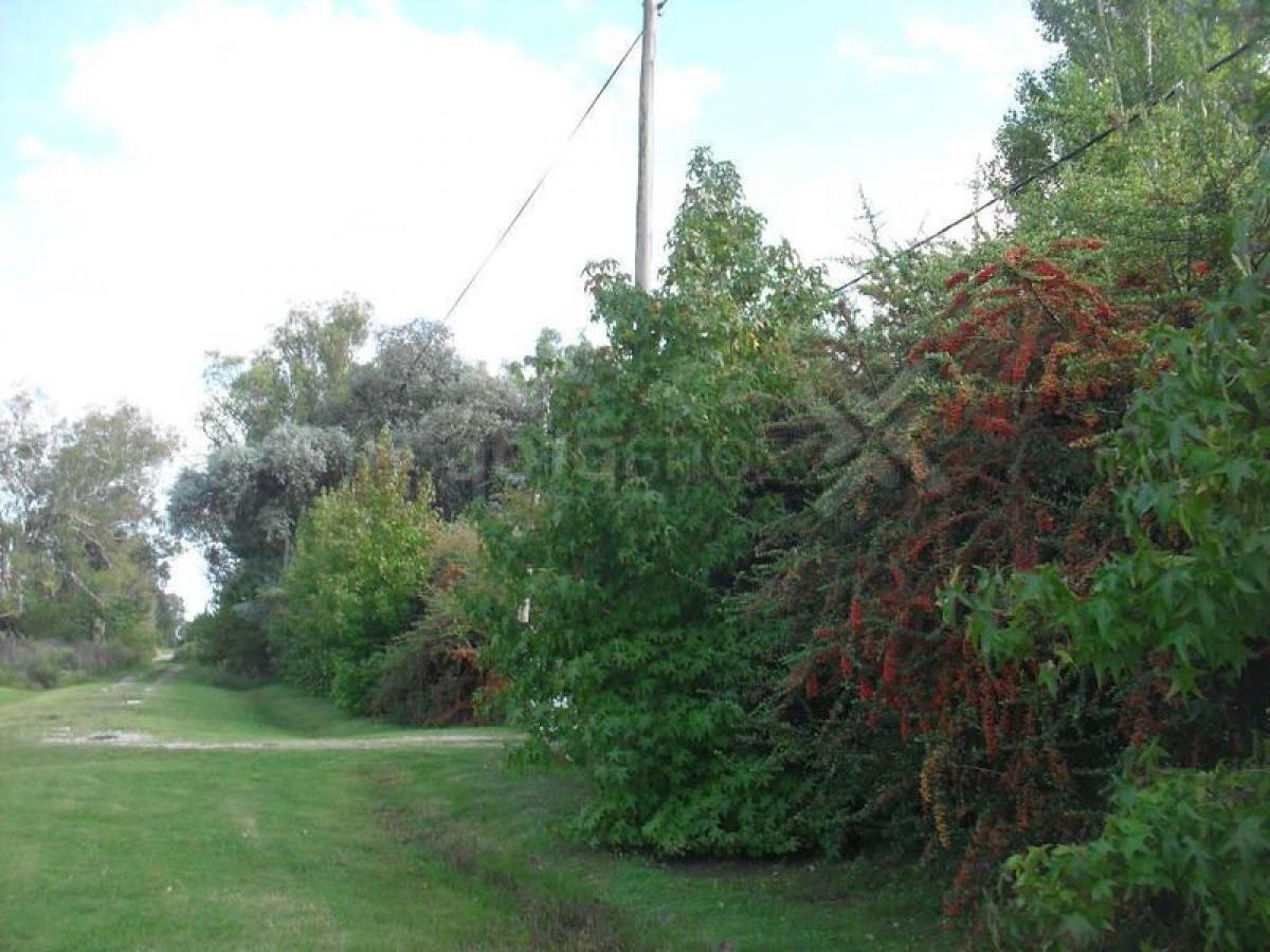 Grundstück in Campo Creado, Argentina, Nr. 31324