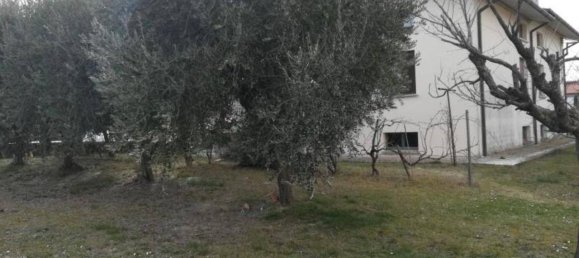 Villa de 7 habitaciónes en San Costanzo, Italy No. 128869 12