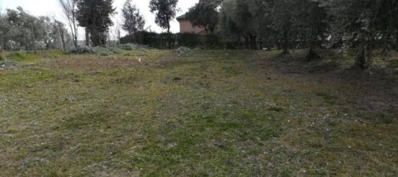 Villa de 7 habitaciónes en San Costanzo, Italy No. 128869 11