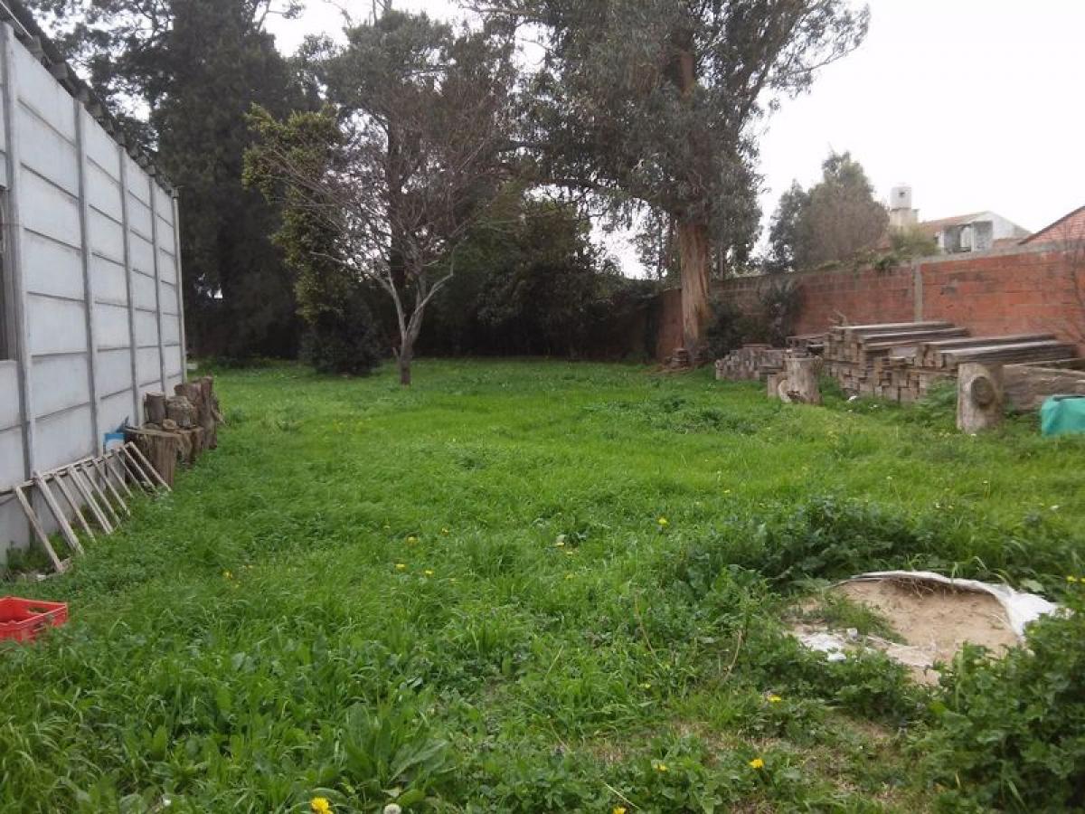 Grundstück in Mar del Plata, Argentina, Nr. 118081