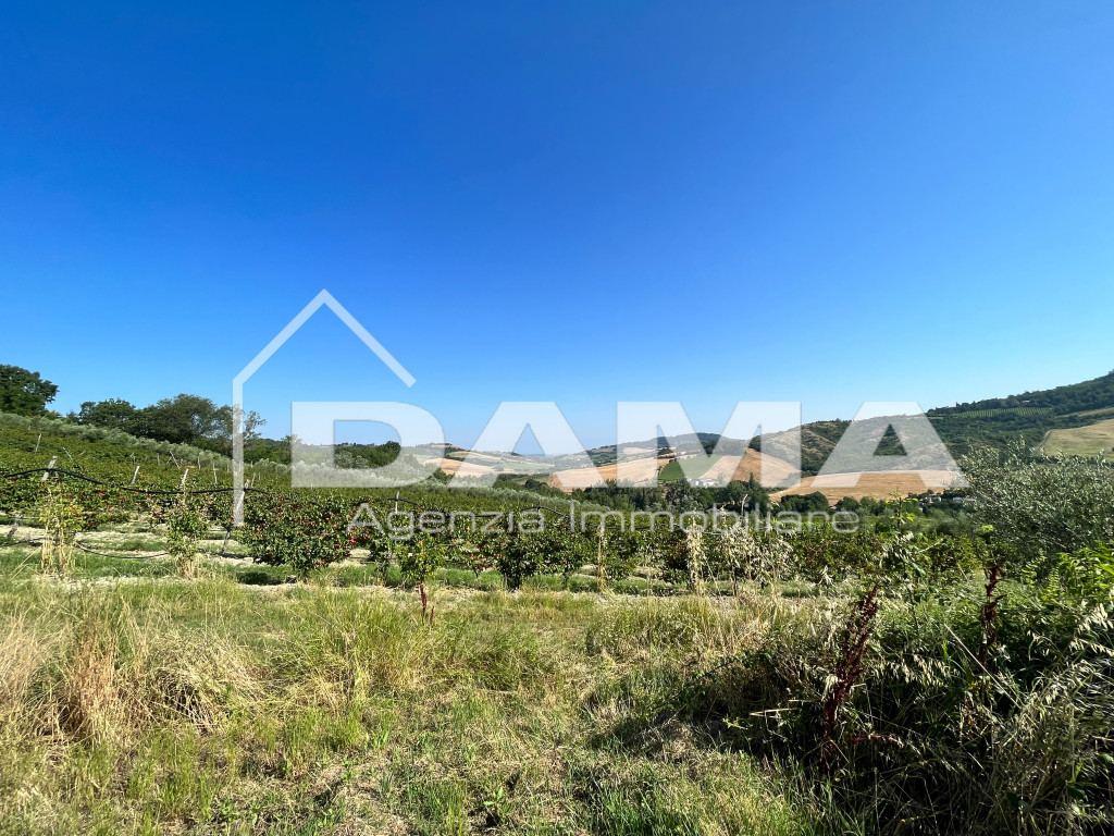 Grundstück in Bertinoro, Italy 210000m², Nr. 355728