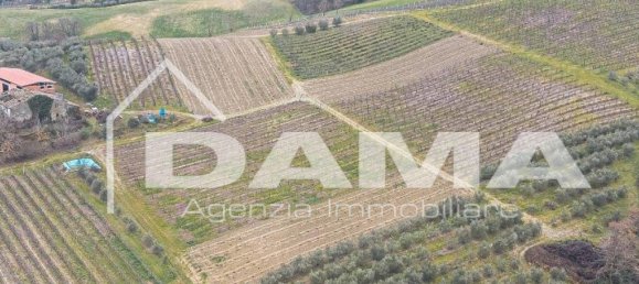 Grundstück in Bertinoro, Italy 210000m², Nr. 355728 15