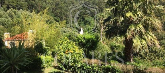 4 bedrooms Land in Sintra, Portugal No. 115340 6