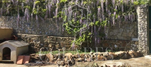 4 bedrooms Land in Sintra, Portugal No. 115340 12