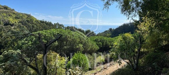 4 bedrooms Land in Sintra, Portugal No. 115340 10