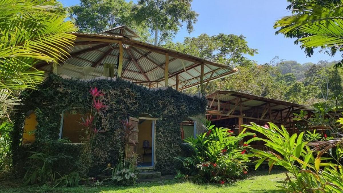 4 bedrooms House in Limon, Costa Rica No. 83