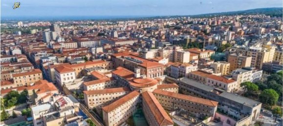 5 rooms Apartment in Palau, Italy No. 212187 12