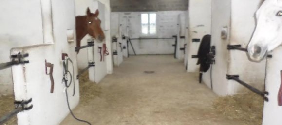 6 rooms Castles in Saint-Martin-Choquel, France No. 84200 14