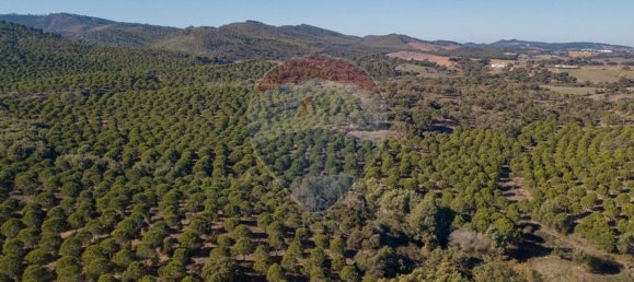538750m² Land in Sao Luis, Portugal No. 37894 11