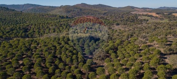 538750m² Land in Sao Luis, Portugal No. 37894 18