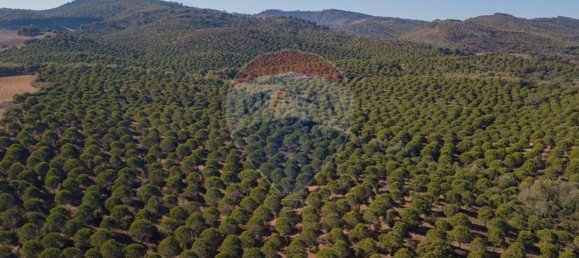 538750m² Land in Sao Luis, Portugal No. 37894 19