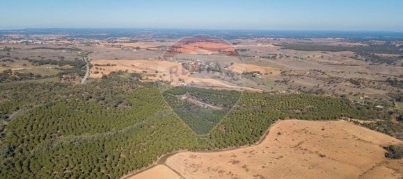 538750m² Land in Sao Luis, Portugal No. 37894 5