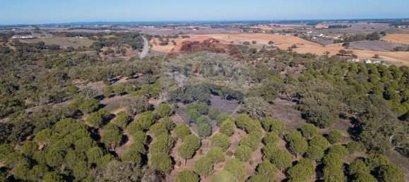 538750m² Land in Sao Luis, Portugal No. 37894 17