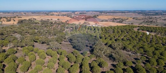 538750m² Land in Sao Luis, Portugal No. 37894 16