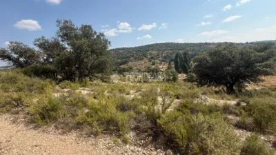  Land in Guadalajara, Spain No. 213021