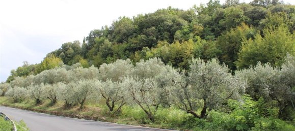  Land in Volterra, Italy No. 334414 2