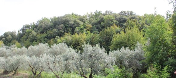  Land in Volterra, Italy No. 334414 3