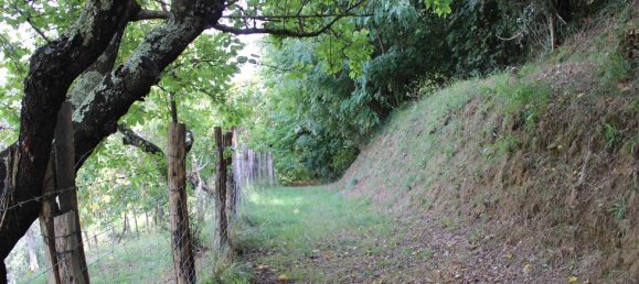  Land in Volterra, Italy No. 334414 10