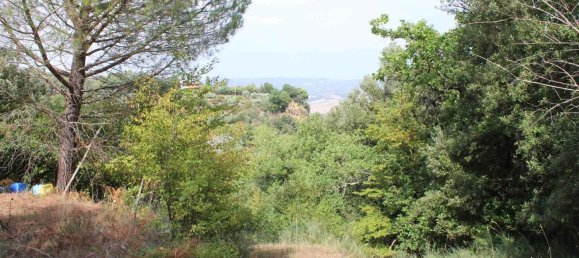  Land in Volterra, Italy No. 334414 16