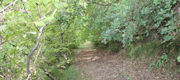  Land in Volterra, Italy No. 334414 12