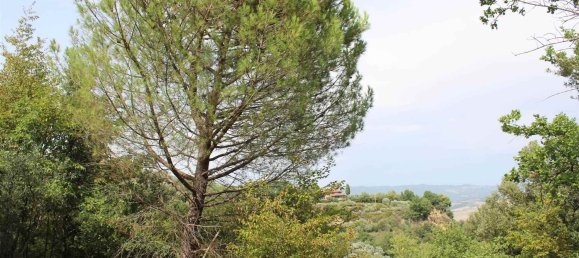  Land in Volterra, Italy No. 334414 17