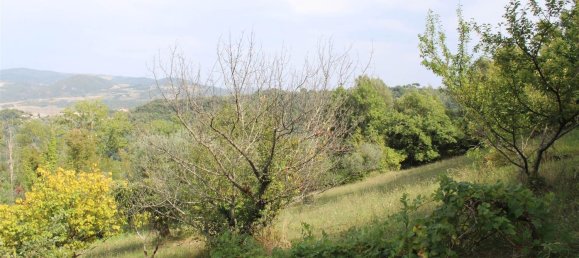  Land in Volterra, Italy No. 334414 22