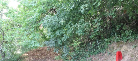  Land in Volterra, Italy No. 334414 11