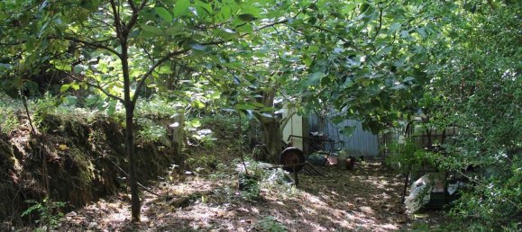  Land in Volterra, Italy No. 334414 9